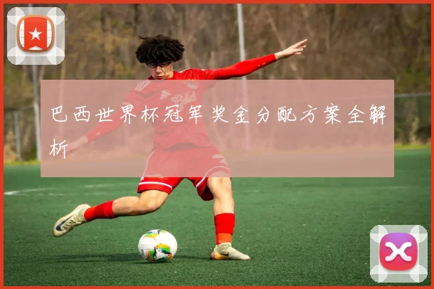 巴西世界杯冠军奖金分配方案全解析