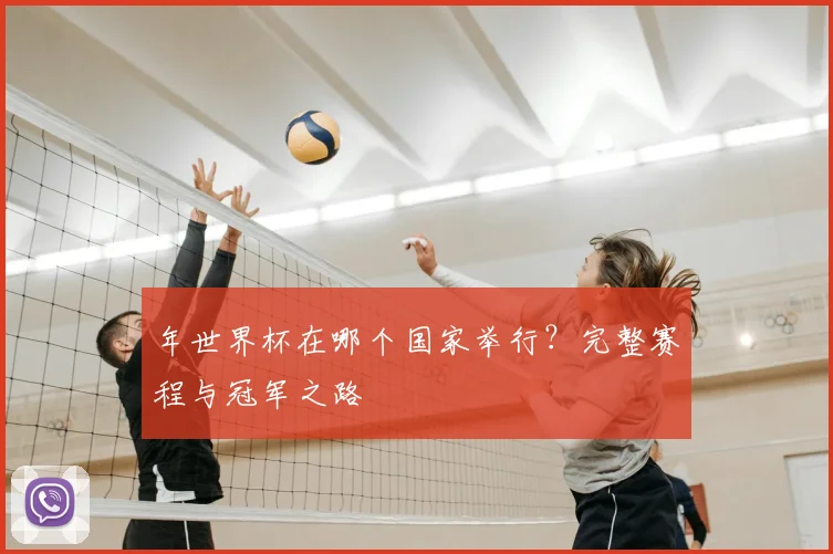 年世界杯在哪个国家举行？完整赛程与冠军之路