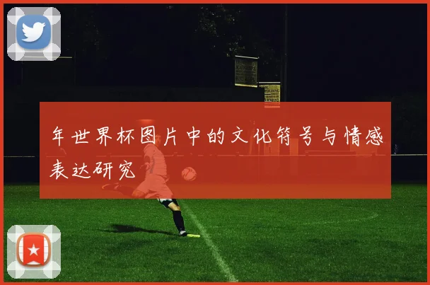 年世界杯图片中的文化符号与情感表达研究