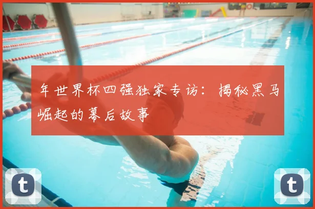年世界杯四强独家专访：揭秘黑马崛起的幕后故事