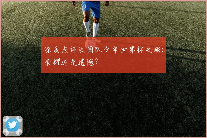 深度点评法国队今年世界杯之旅：荣耀还是遗憾？